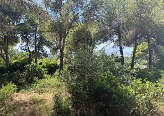 Area Edificabile in vendita in Montgó - Ermita, Javea / Xàbia - 730.000 € (Rif: 10085028)