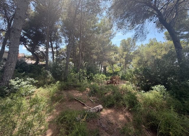 Area Edificabile in vendita in Montgó - Ermita, Javea / Xàbia - 730.000 € (Rif: 10085028)