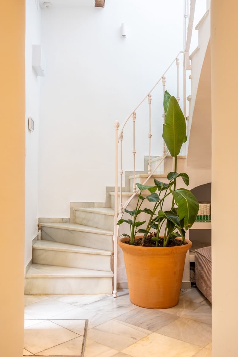 2 chambre Maison de Ville à vendre à Seville ville avec piscine - 530 400 € (Ref: 10023043)