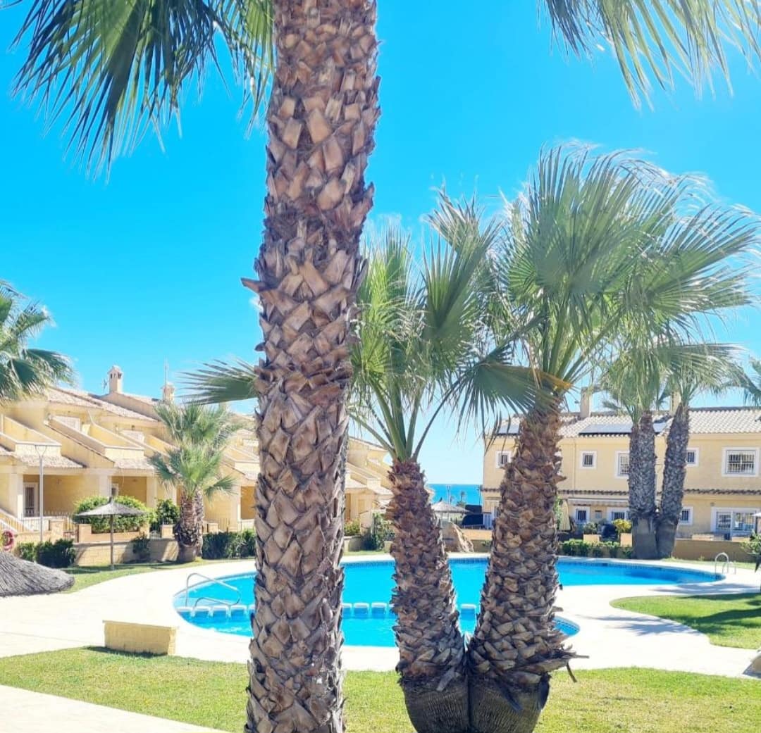 3 soveværelse Rækkehus til leje i Torrevieja med swimmingpool - € 1.500 (Ref: 10023339)
