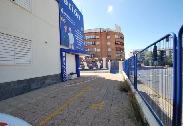 2 Zimmer Gewerbe zu vermieten in Parque de las Naciones, Torrevieja - 4.900 € (Ref: 10095449)
