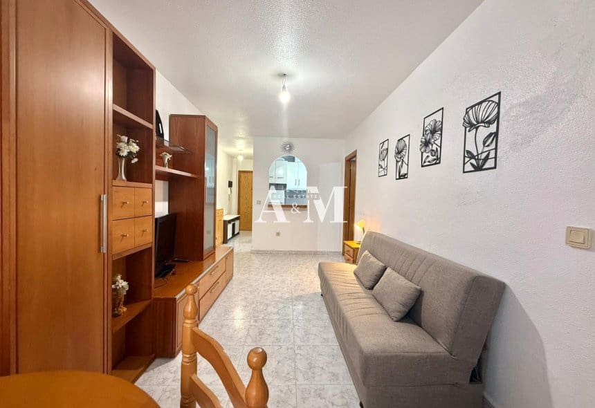 1 Zimmer Strandapartment zu vermieten in Torrevieja - 650 € (Ref: 10099465)