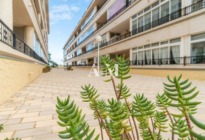 Apartamento de 2 habitaciones en Playa Flamenca en alquiler con piscina - 800 € (Ref: 10111841)