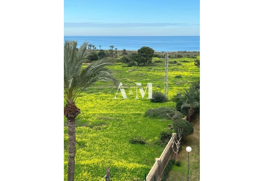 Apartamento de 2 habitaciones en Punta Prima en alquiler con piscina garaje - 1.200 € (Ref: 10165550)