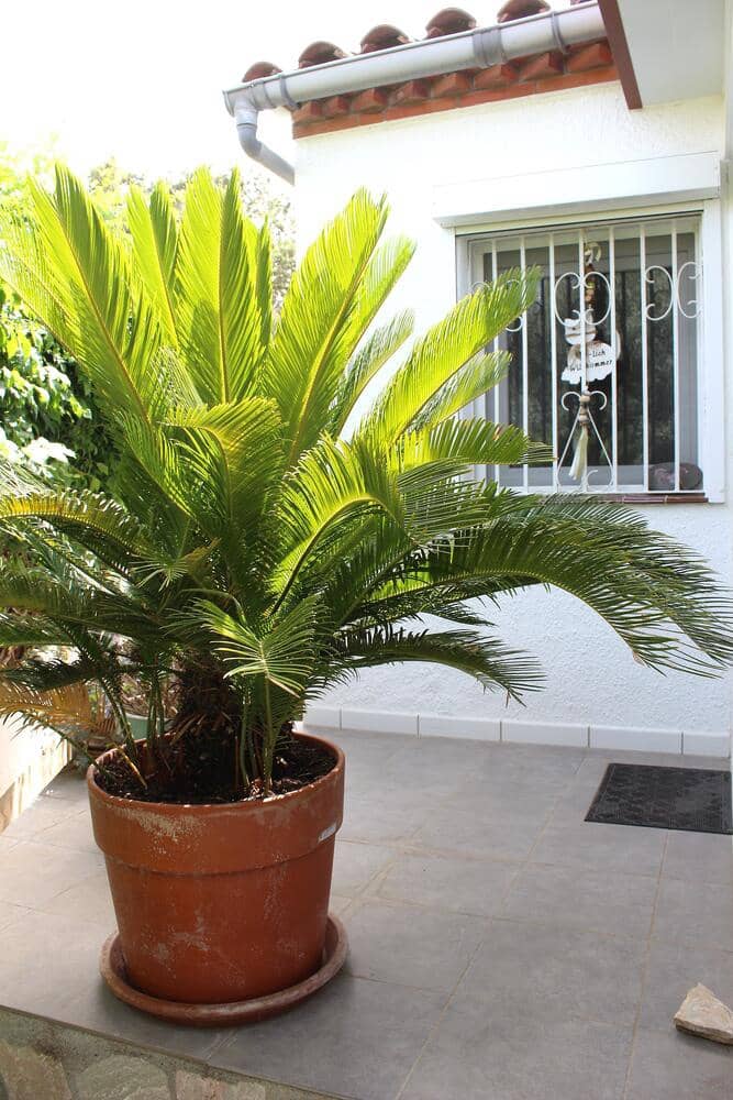 2 Zimmer Villa zu verkaufen in Empuriabrava mit Garage - 300.000 € (Ref: 10040159)