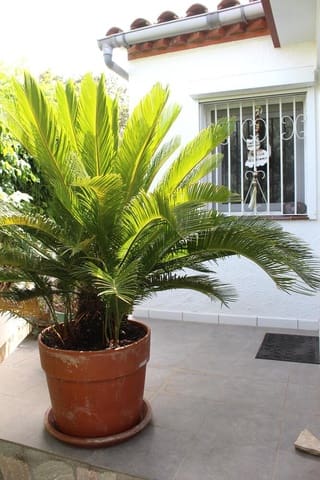 2 slaapkamer Villa te koop in Empuriabrava, Castelló d'Empúries met garage - € 300.000 (Ref: 10040159)