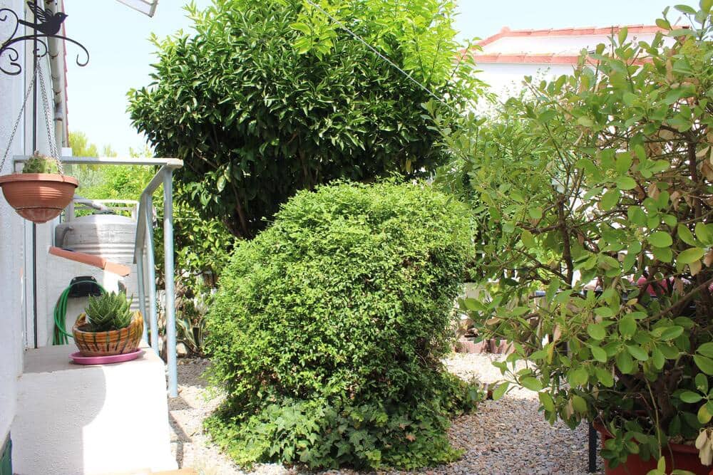2 Zimmer Villa zu verkaufen in Empuriabrava mit Garage - 300.000 € (Ref: 10040159)