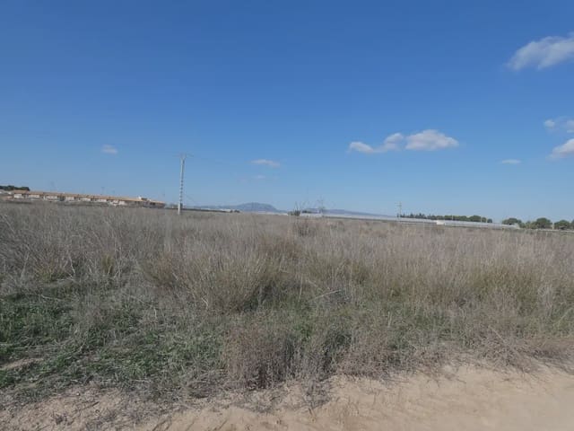 Mark till salu i Balsicas, Torre-Pacheco - 200 000 € (Ref: 10039912)