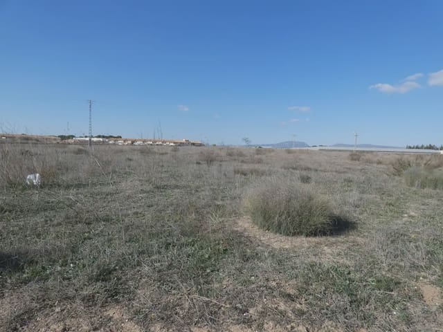 Mark till salu i Balsicas, Torre-Pacheco - 200 000 € (Ref: 10039912)