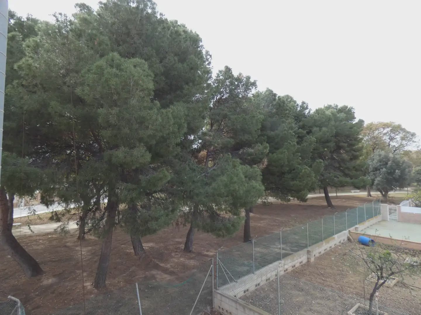 Erhverv til salg i Los Narejos med garage - € 285.000 (Ref: 10039939)