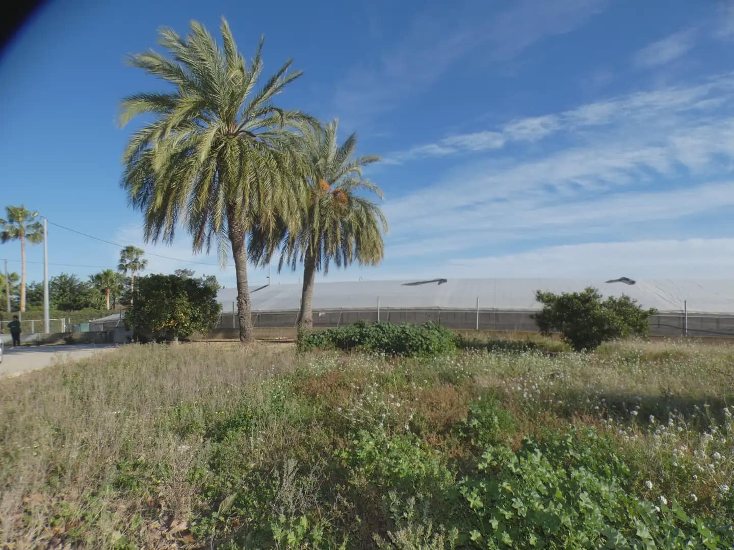 3 camera da letto Finca/Casa di Campagna in vendita in El Mirador - 295.000 € (Rif: 10039946)