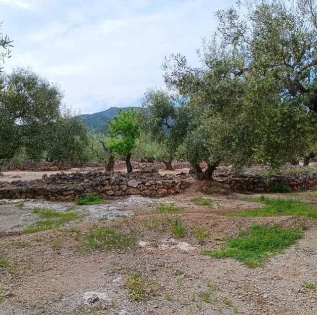 2 soveværelse Finca/Landehus til salg i Roquetes - € 33.000 (Ref: 10172011)