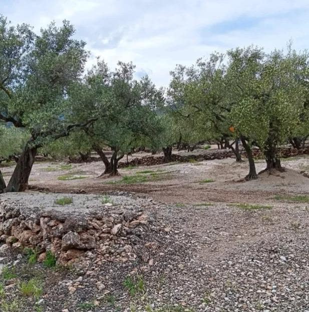 2 soveværelse Finca/Landehus til salg i Roquetes - € 33.000 (Ref: 10172011)