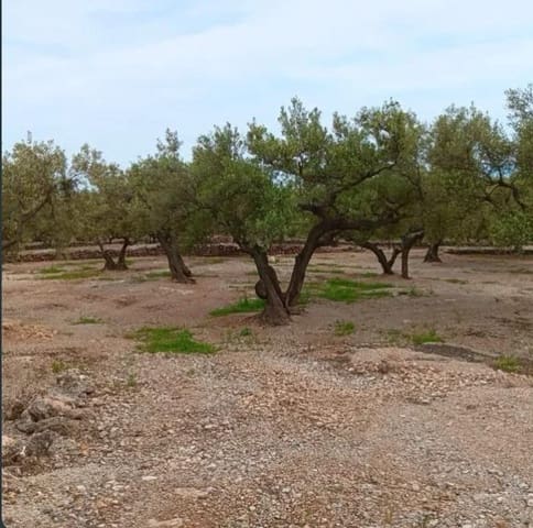 2 slaapkamer Finca/Landhuis te koop in Roquetes - € 33.000 (Ref: 10172011)