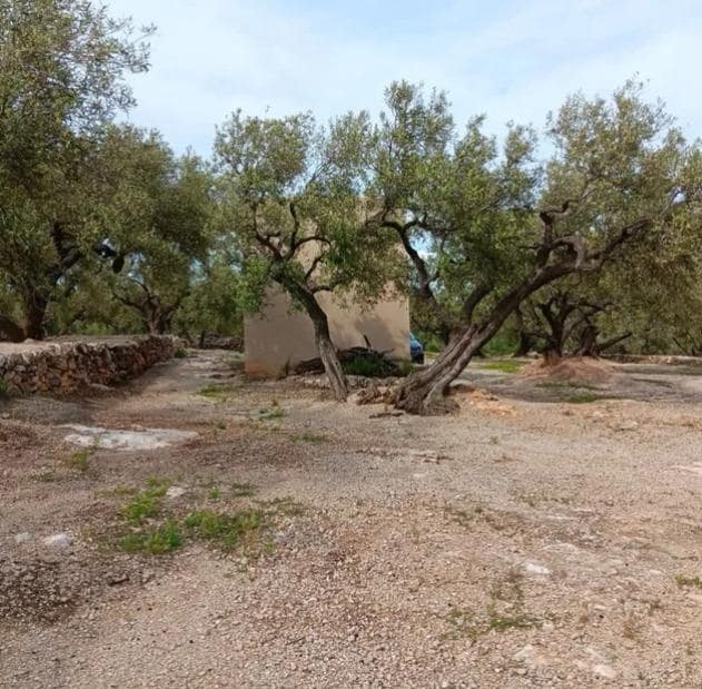 2 soveværelse Finca/Landehus til salg i Roquetes - € 33.000 (Ref: 10172011)