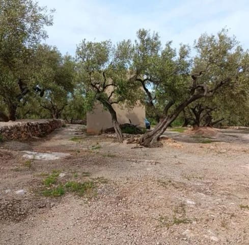 2 slaapkamer Finca/Landhuis te koop in Roquetes - € 33.000 (Ref: 10172011)