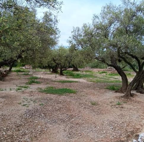 2 slaapkamer Finca/Landhuis te koop in Roquetes - € 33.000 (Ref: 10172011)