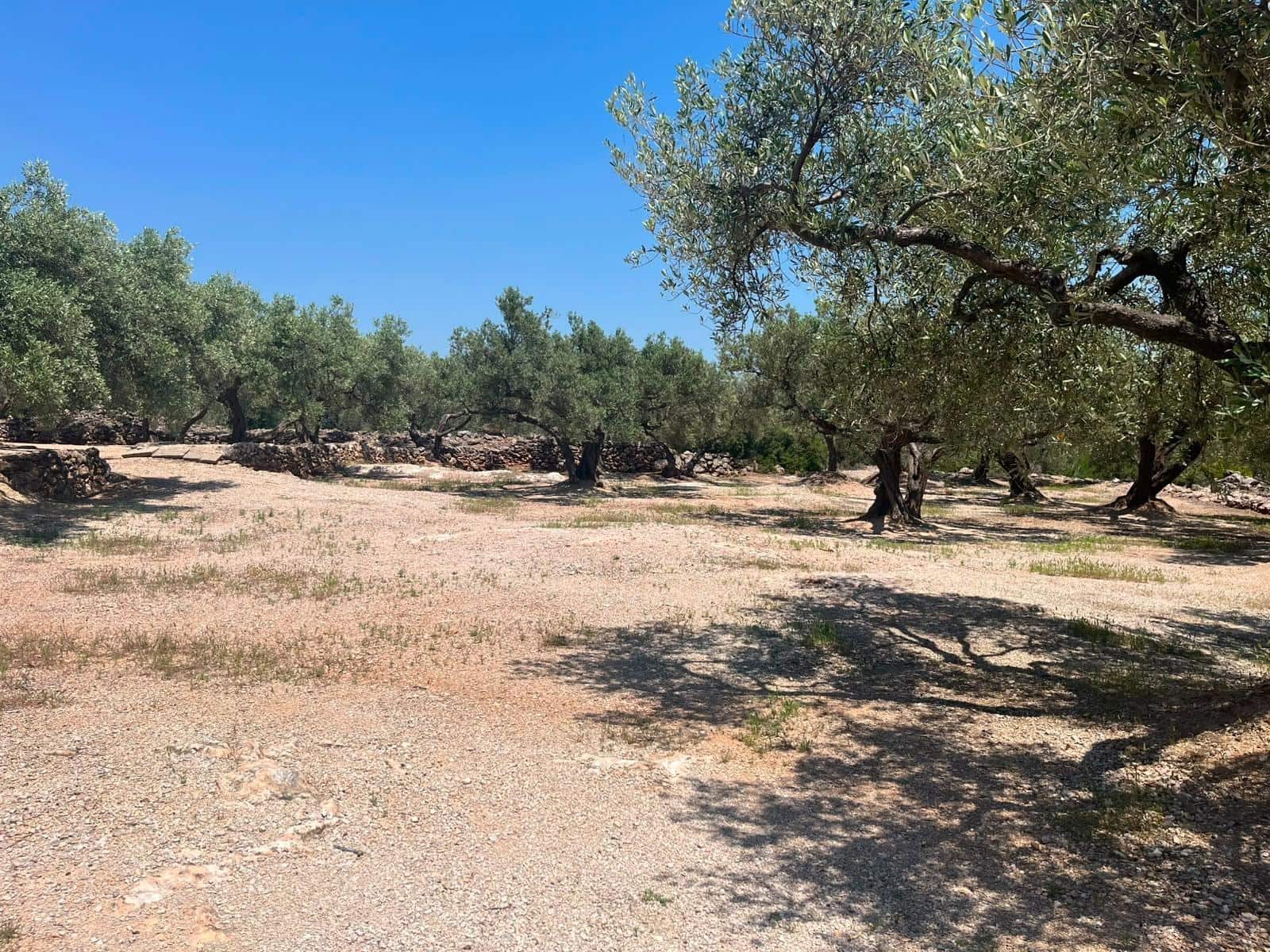 2 soveværelse Finca/Landehus til salg i Roquetes - € 33.000 (Ref: 10172011)