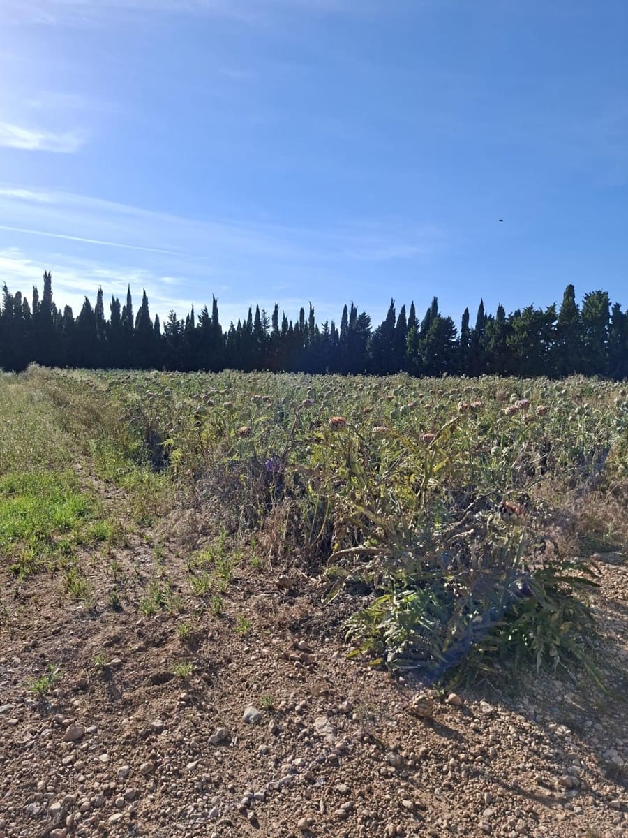 1 makuuhuone Maalaistalo myytävänä paikassa Camarles - 148 400 € (Ref: 10172016)