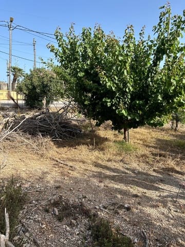 Solar/Parcela en Deltebre en venta - 44.000 € (Ref: 10172025)
