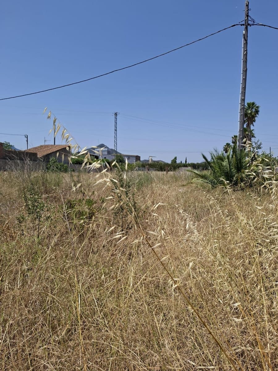 Chalet de 4 habitaciones en Amposta en venta - 422.000 € (Ref: 10172027)