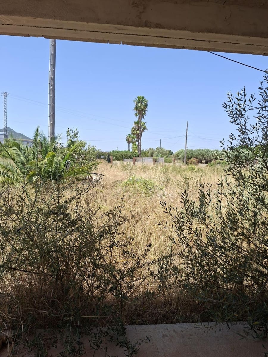 Chalet de 4 habitaciones en Amposta en venta - 422.000 € (Ref: 10172027)