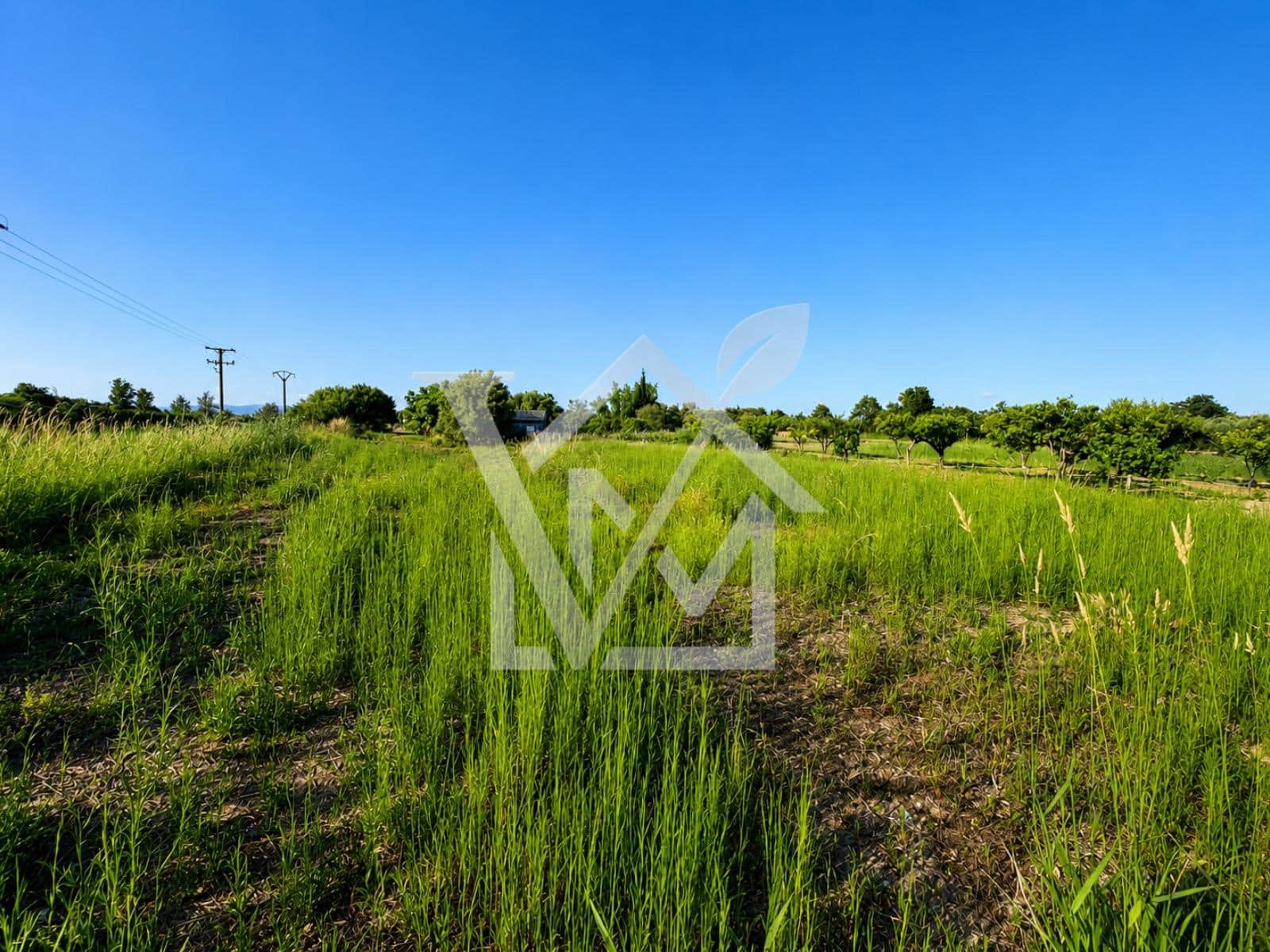 Terre non Aménagée à vendre à Sant Carles de la Rapita - 28 000 € (Ref: 10172030)