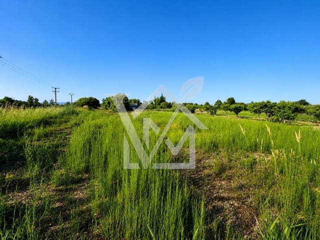 Undeveloped Land for sale in Sant Carles de la Ràpita - € 28,000 (Ref: 10172030)