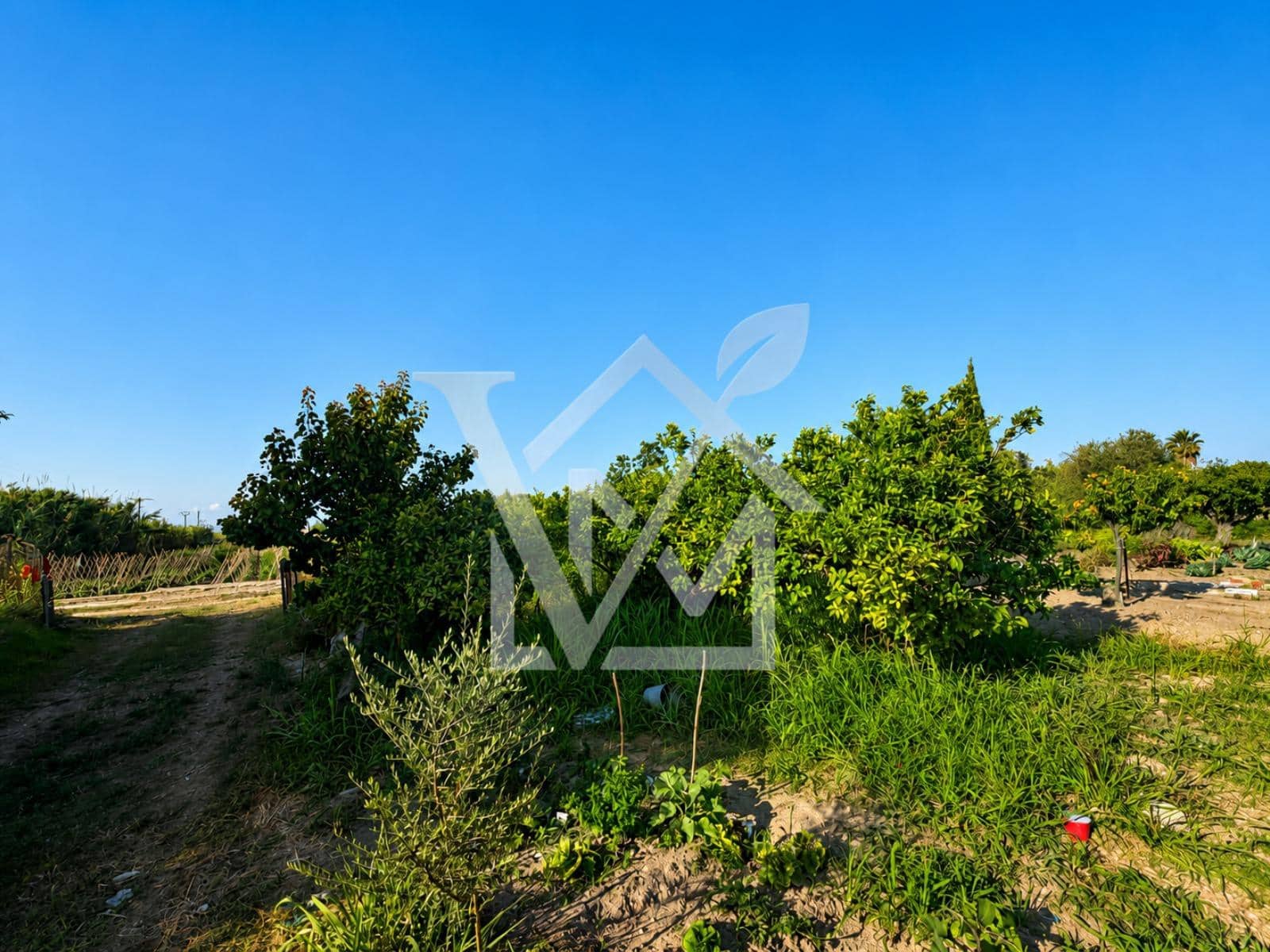 Terre non Aménagée à vendre à Sant Carles de la Rapita - 28 000 € (Ref: 10172030)