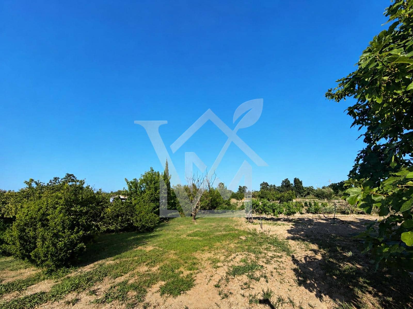 Terre non Aménagée à vendre à Sant Carles de la Rapita - 28 000 € (Ref: 10172030)