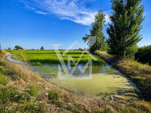 Undeveloped Land for sale in Sant Carles de la Ràpita - € 28,000 (Ref: 10172030)