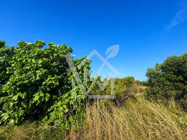 Undeveloped Land for sale in Sant Carles de la Ràpita - € 28,000 (Ref: 10172030)