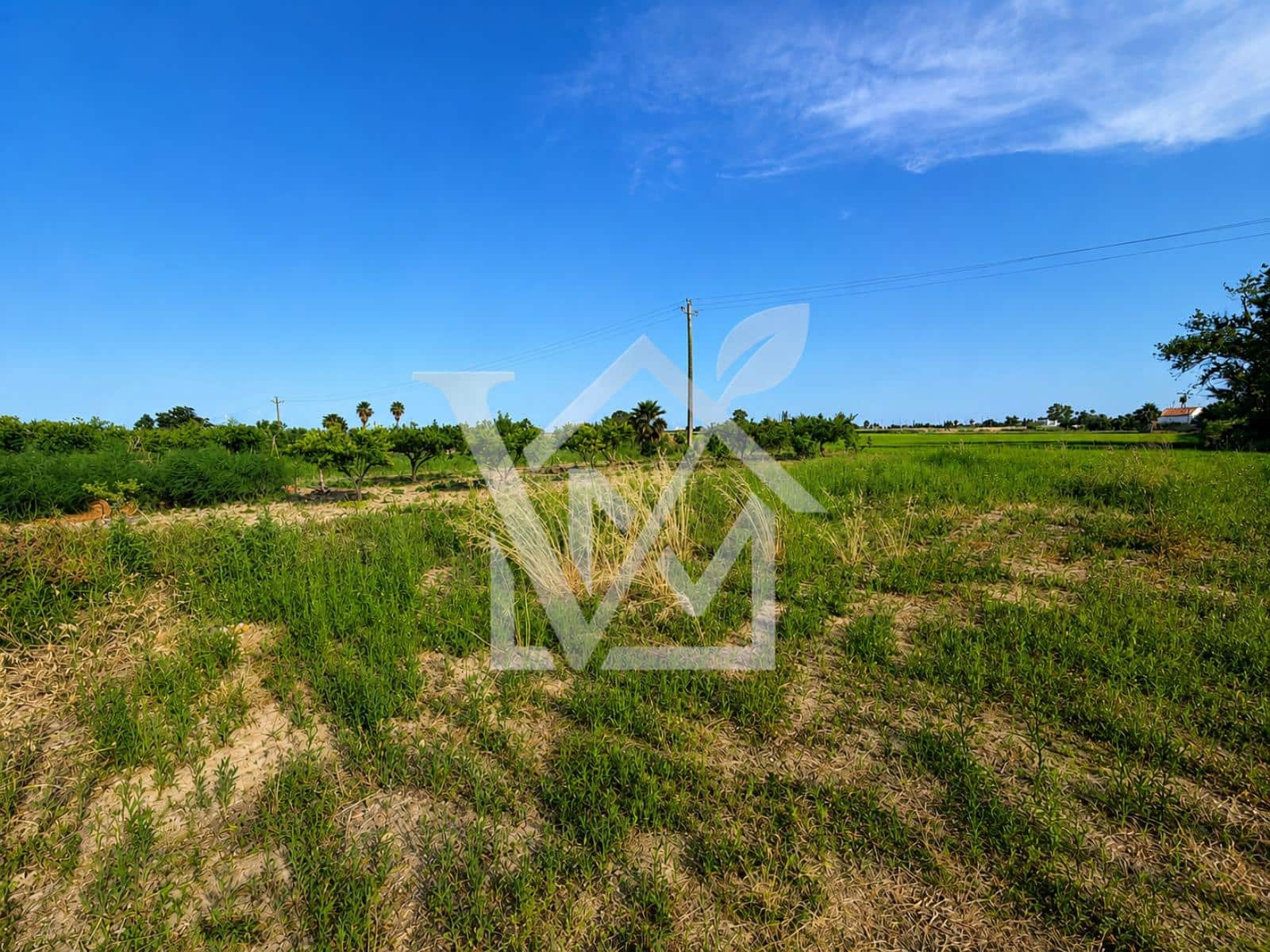 Terre non Aménagée à vendre à Sant Carles de la Rapita - 28 000 € (Ref: 10172030)