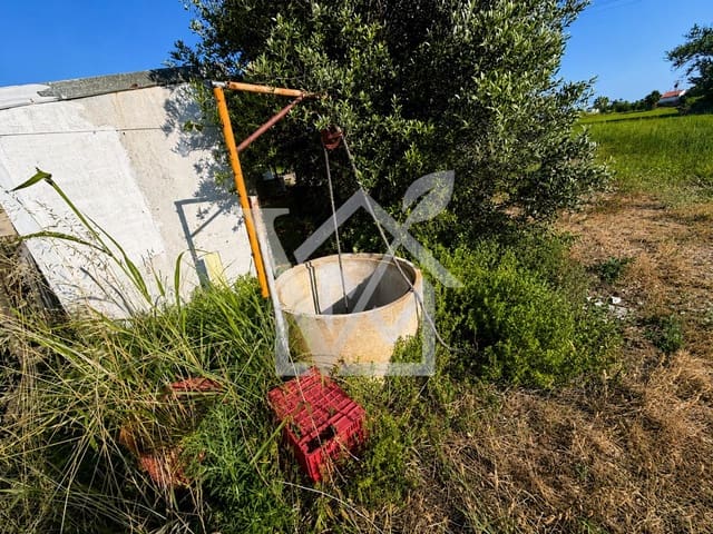 Undeveloped Land for sale in Sant Carles de la Ràpita - € 28,000 (Ref: 10172030)