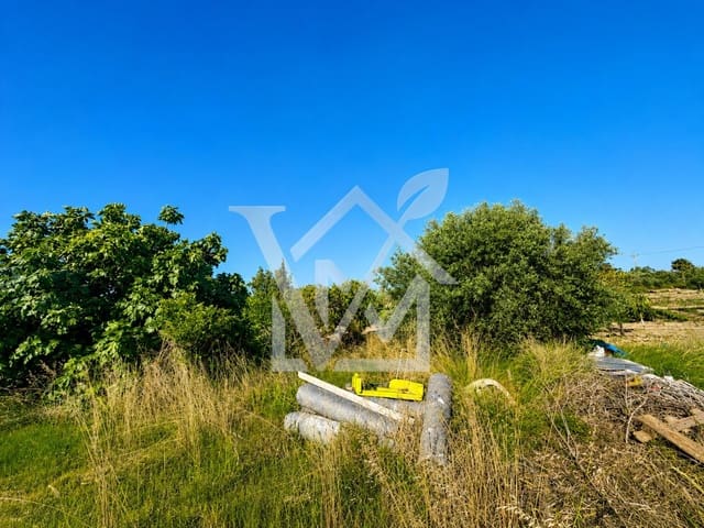 Undeveloped Land for sale in Sant Carles de la Ràpita - € 28,000 (Ref: 10172030)