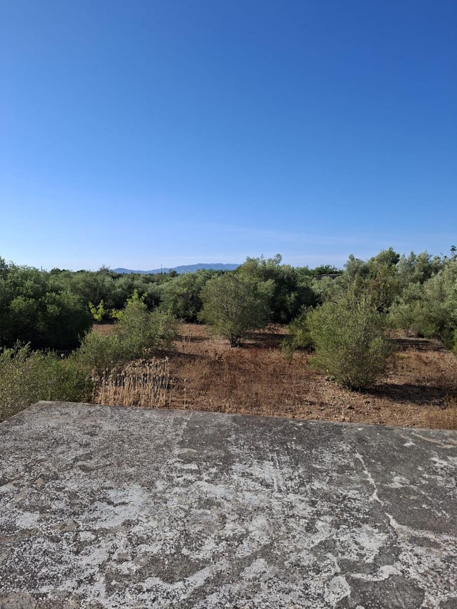 6 chambre Villa/Maison à vendre à Roquetes avec piscine garage - 258 750 € (Ref: 10172031)