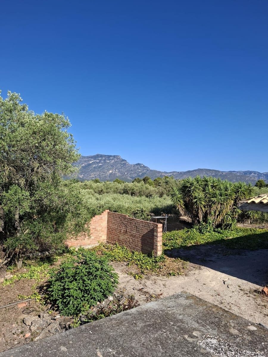 6 chambre Villa/Maison à vendre à Roquetes avec piscine garage - 258 750 € (Ref: 10172031)