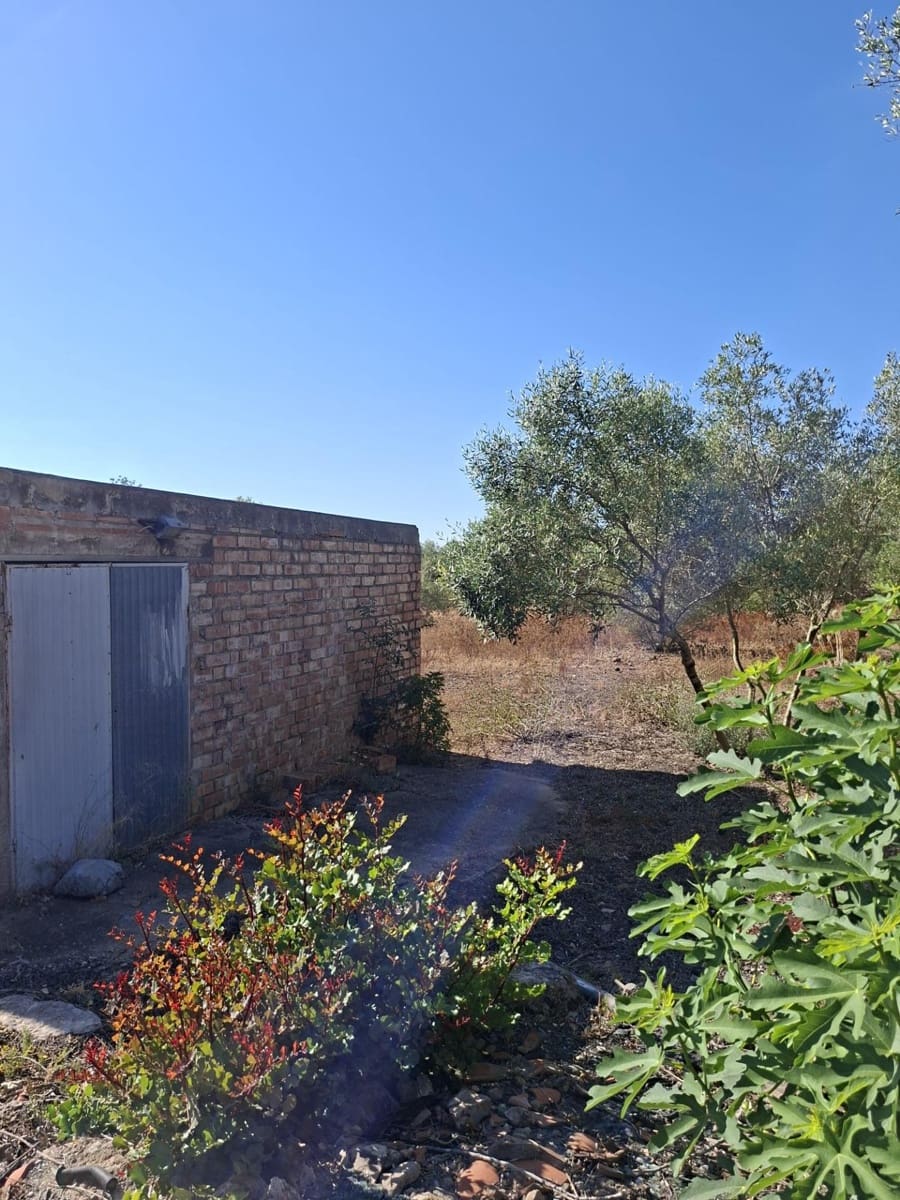 6 chambre Villa/Maison à vendre à Roquetes avec piscine garage - 258 750 € (Ref: 10172031)