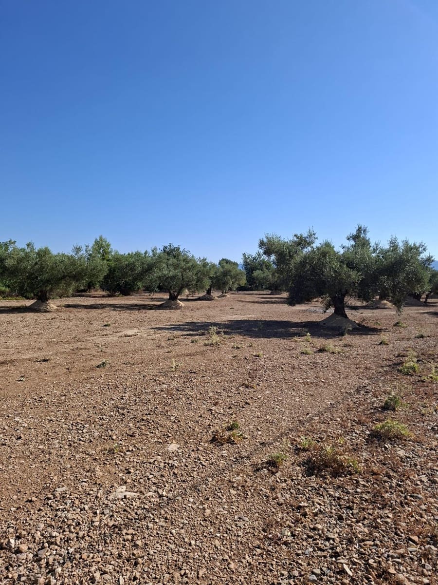 Grond te koop in Roquetes - € 80.000 (Ref: 10172034)