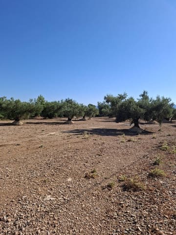 Undeveloped Land for sale in Roquetes - € 80,000 (Ref: 10172034)