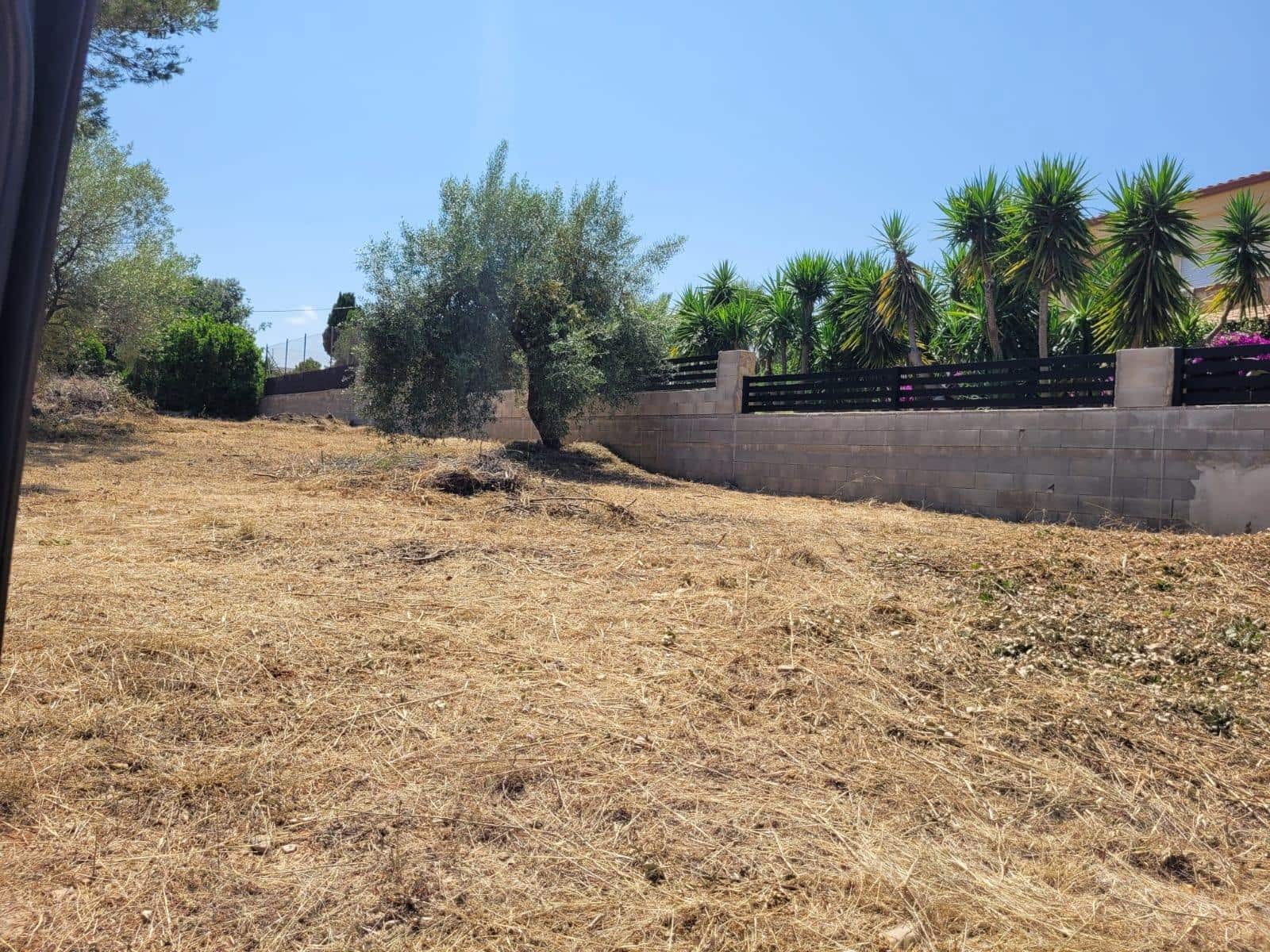 Solar/Parcela en Alcanar en venta - 126.000 € (Ref: 10172035)