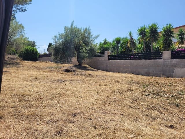 Solar/Parcela en Alcanar en venta - 126.000 € (Ref: 10172035)