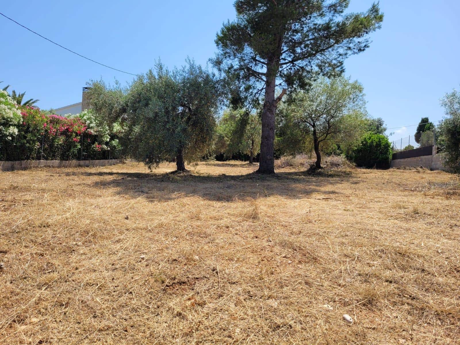 Solar/Parcela en Alcanar en venta - 126.000 € (Ref: 10172035)