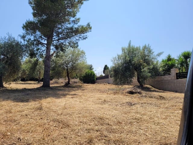 Solar/Parcela en Alcanar en venta - 126.000 € (Ref: 10172035)