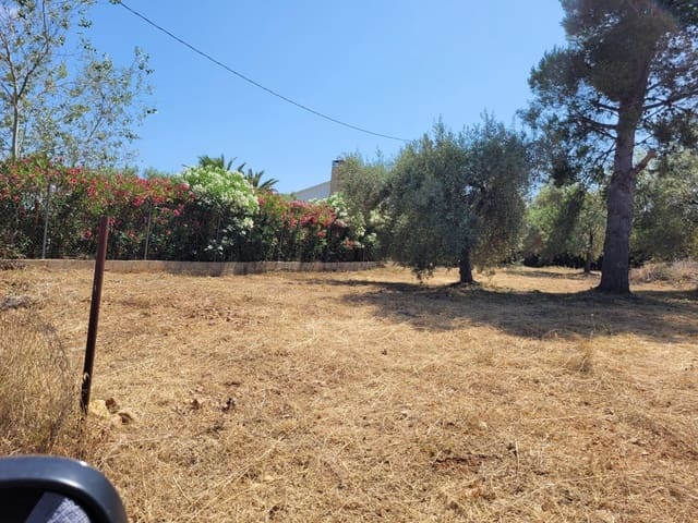 Solar/Parcela en Alcanar en venta - 126.000 € (Ref: 10172035)