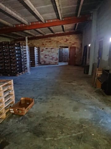Azienda in vendita in Sant Carles de la Ràpita - 969.000 € (Rif: 10172036)
