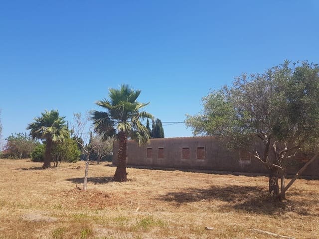 Azienda in vendita in Sant Carles de la Ràpita - 969.000 € (Rif: 10172036)