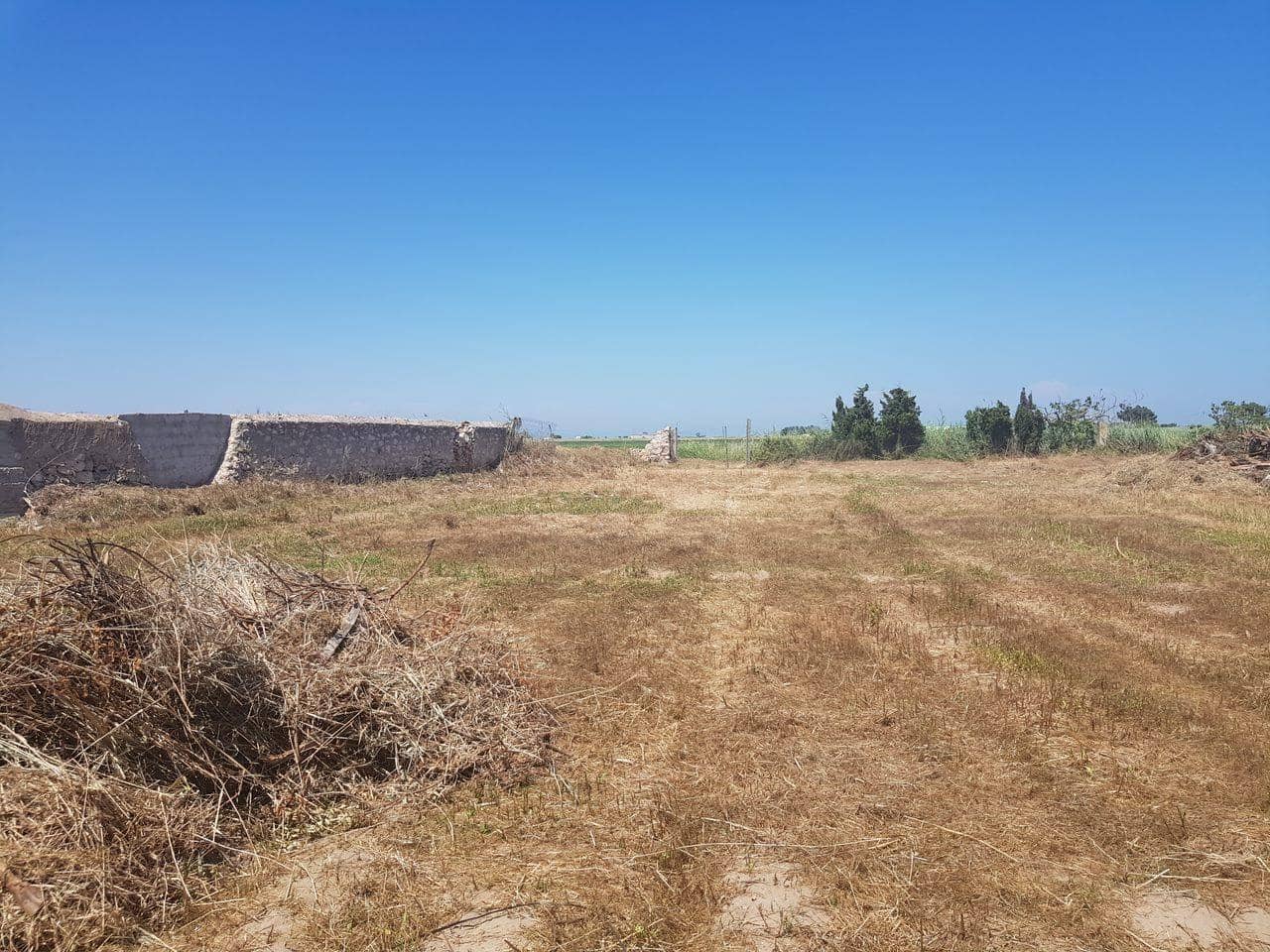Yritys myytävänä paikassa Sant Carles de la Rapita - 969 000 € (Ref: 10172036)