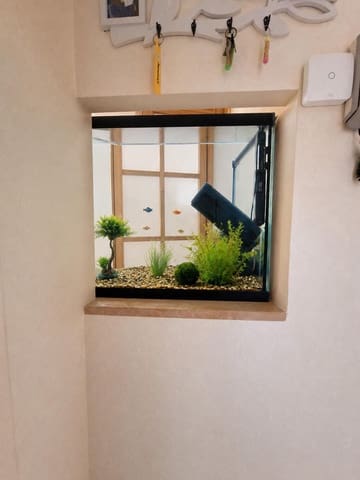 6 soveværelse Byhus til salg i Sant Jaume d'Enveja med garage - € 215.000 (Ref: 10172046)