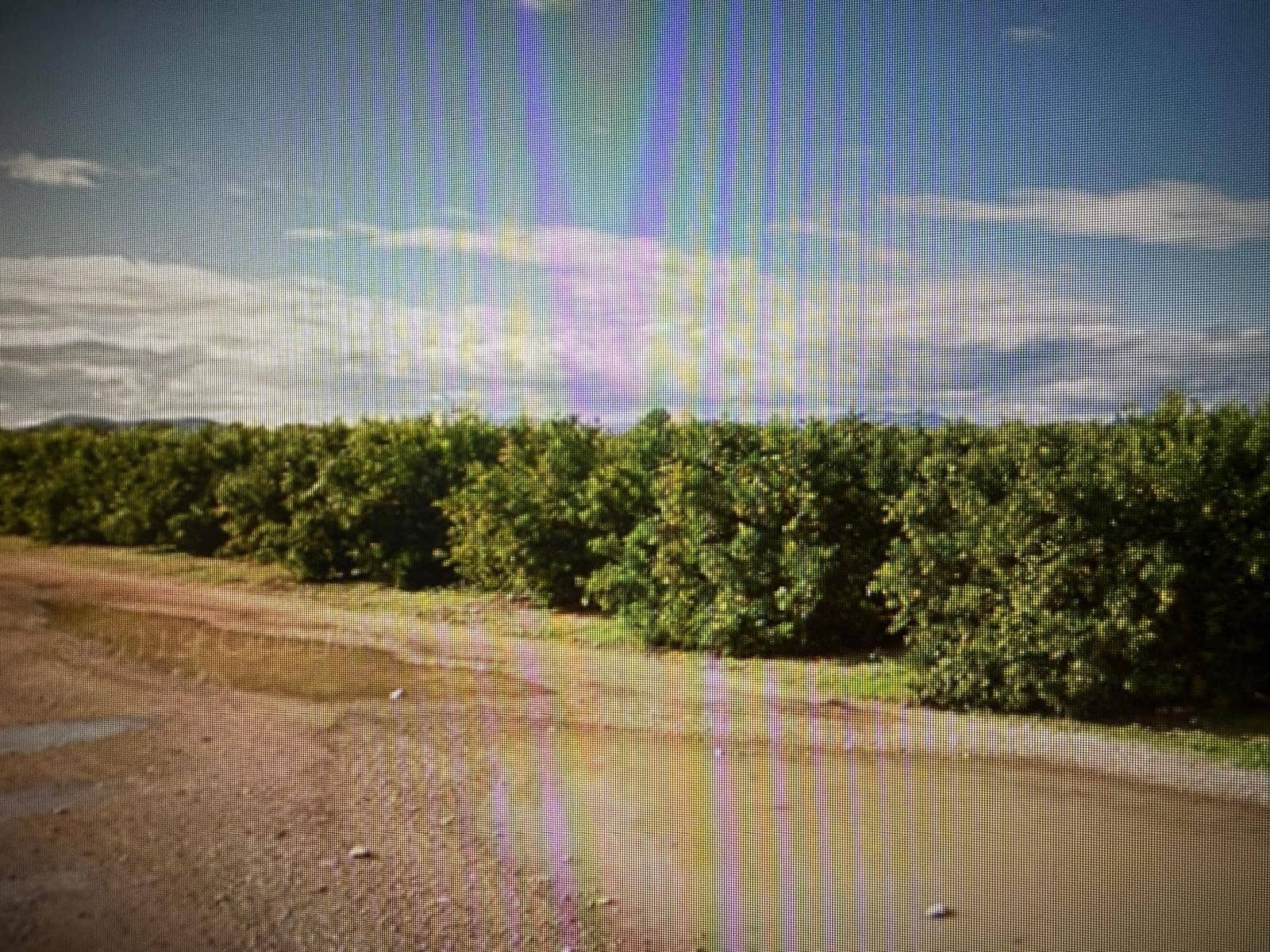 Undeveloped Land for sale in Traiguera - € 363,000 (Ref: 10180669)